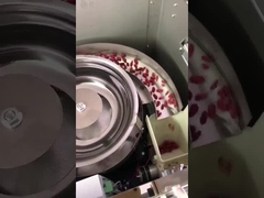 垂直型粒粒包装機 多機能 チョコレート豆 果物 スナック